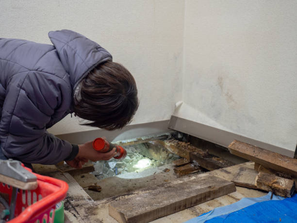 Best Post-Construction Mold Inspection  in Yakima, WA