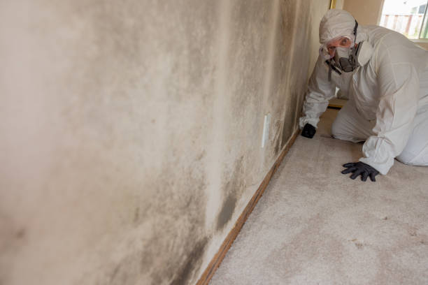 Best Forensic Mold Investigation  in Yakima, WA