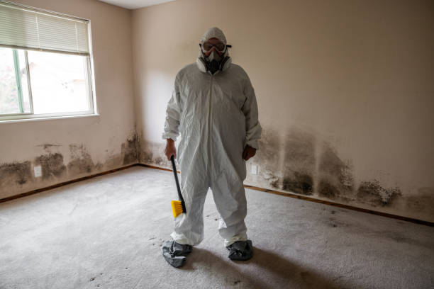 Best Residential Mold Inspection & Testing  in Yakima, WA